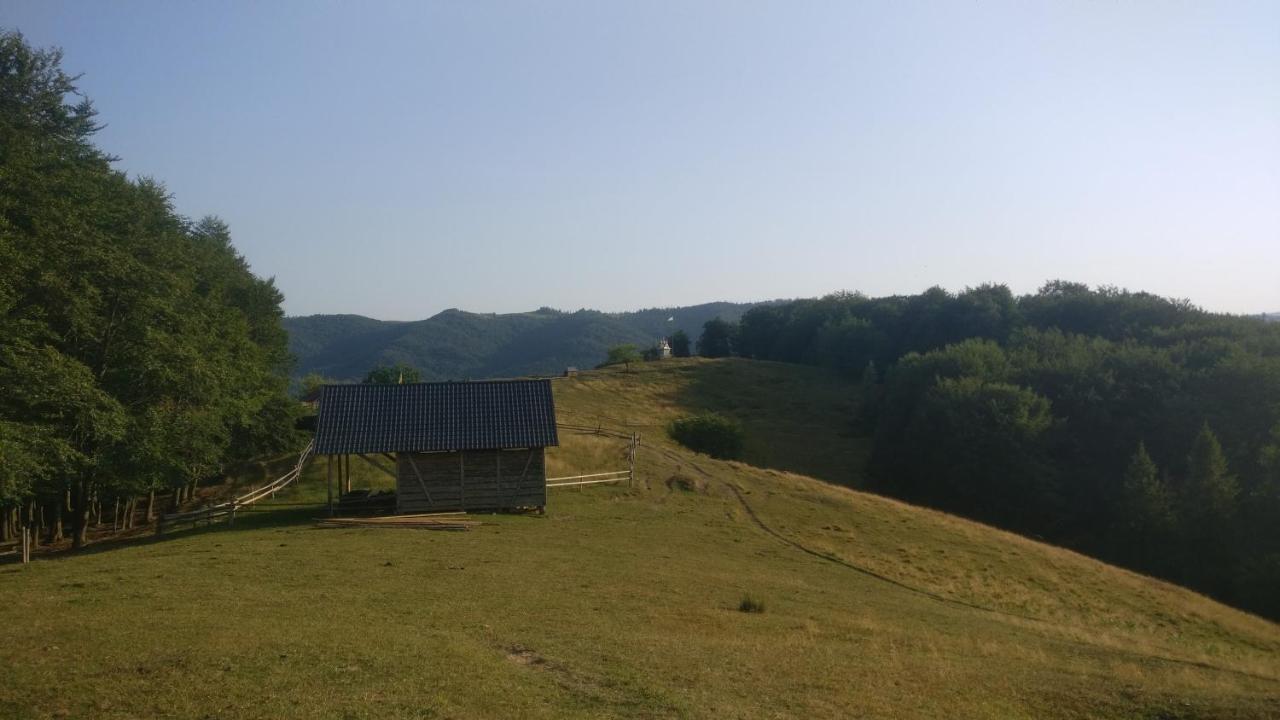 Садиба Федорчуків Гірська Хатина 1 Sheshory Exterior photo